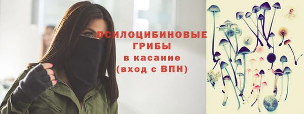 винт Армянск