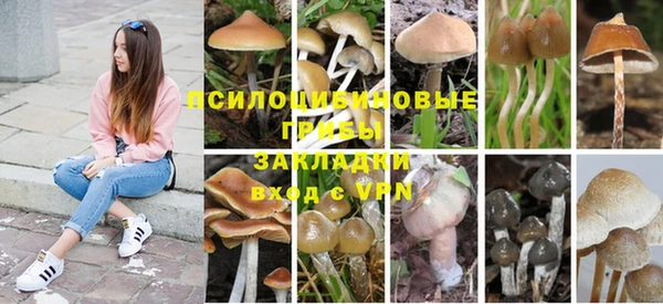 винт Армянск