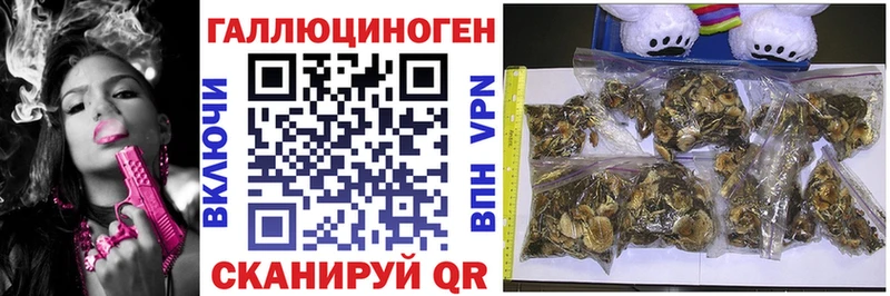 что такое   Омутнинск  Галлюциногенные грибы мухоморы 